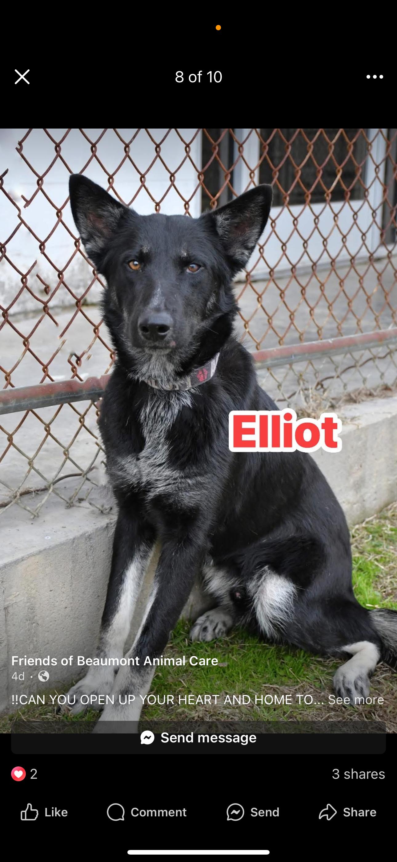 Elliott