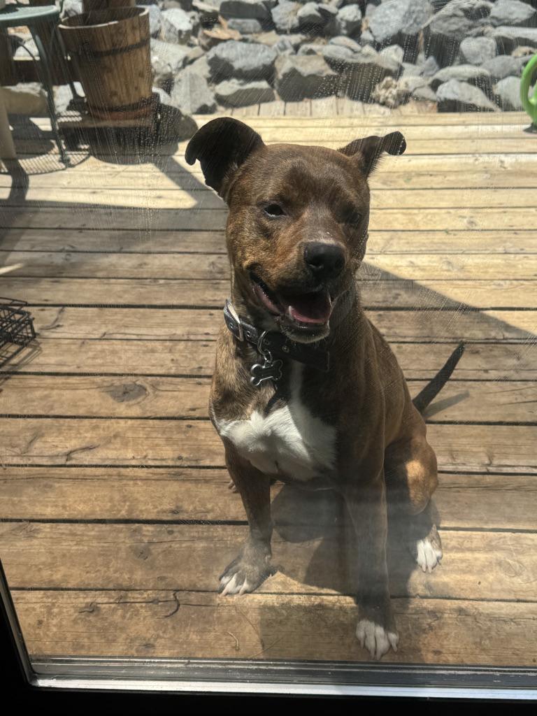 Buster photo 2