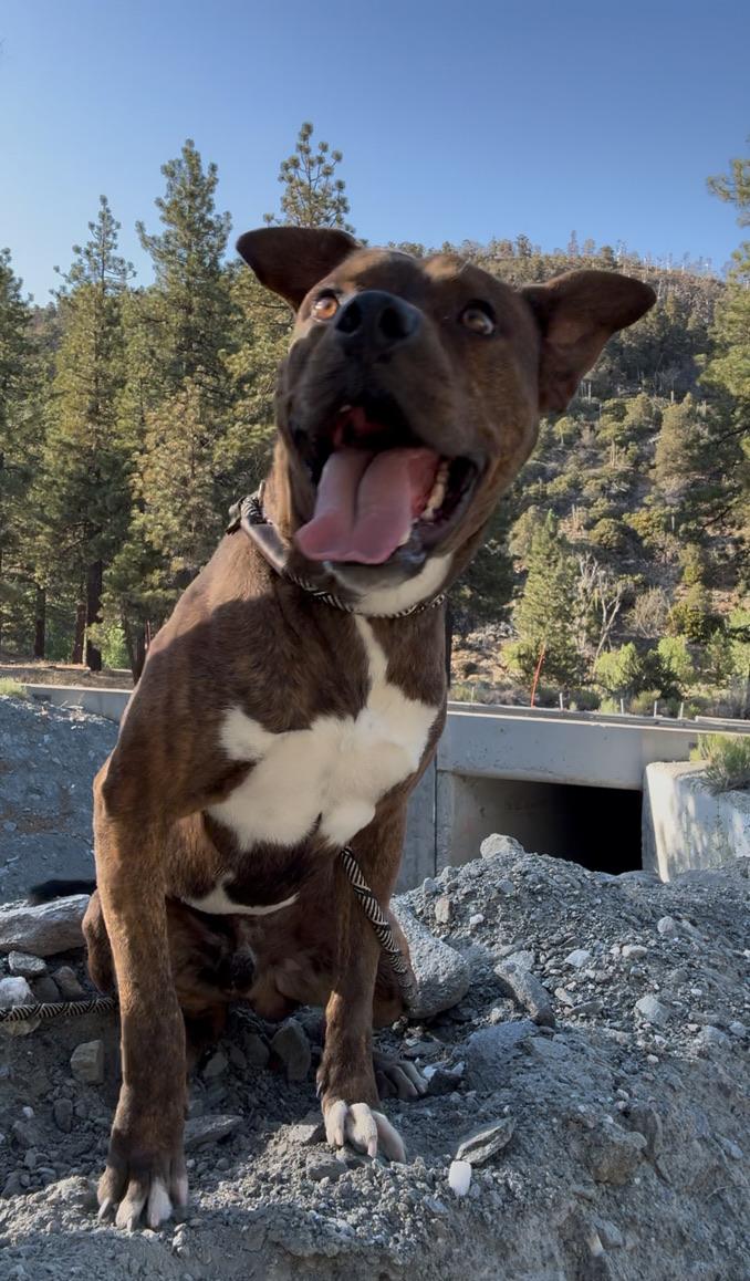 Buster