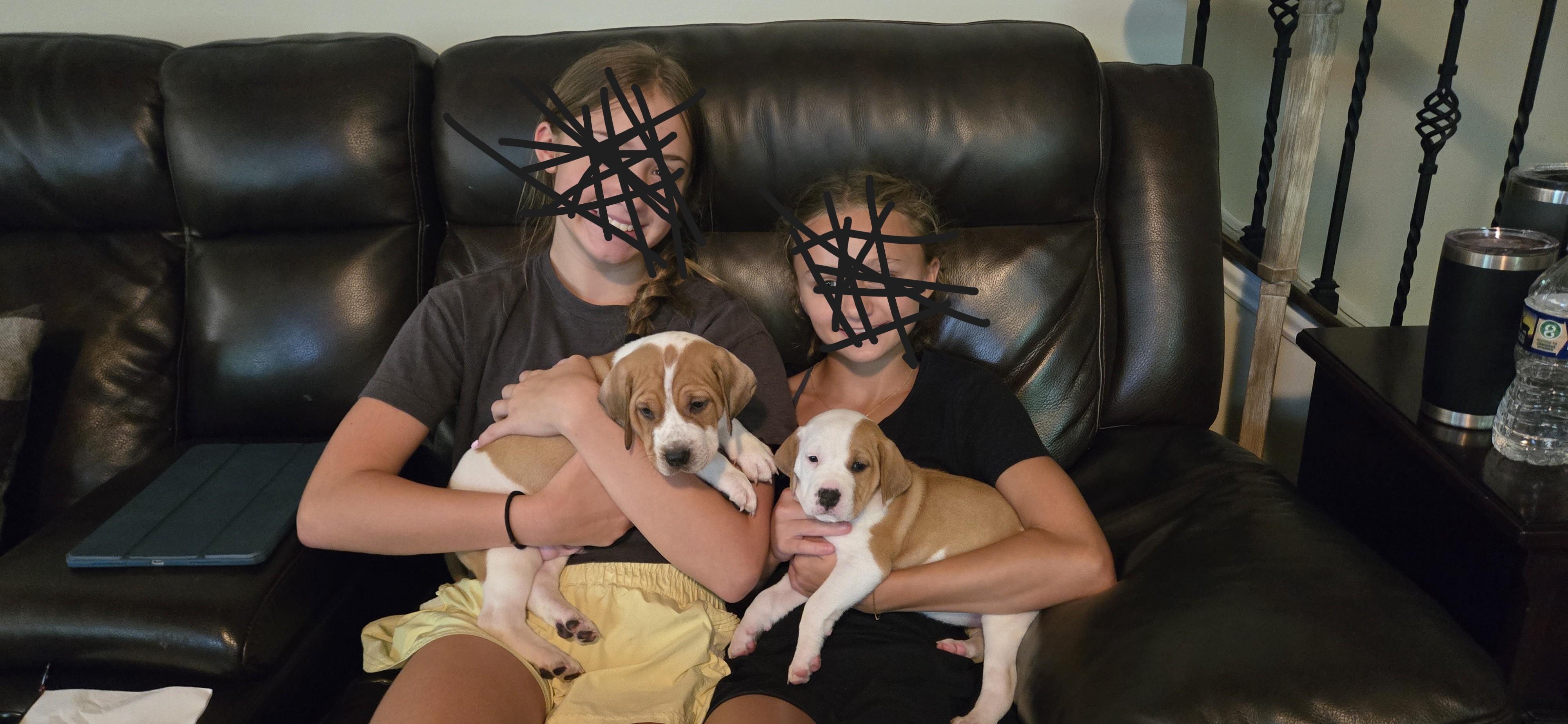 PUPPIES! photo 2