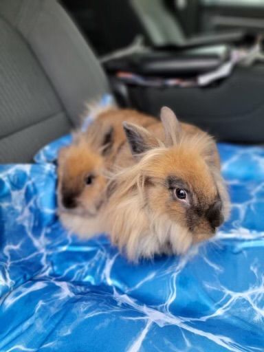 Cassie & June photo 2