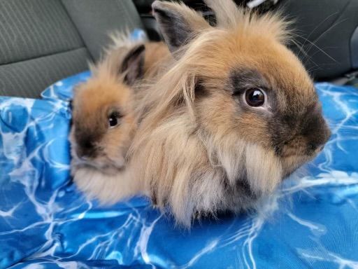 Cassie & June