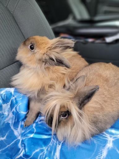 Cassie & June photo 3
