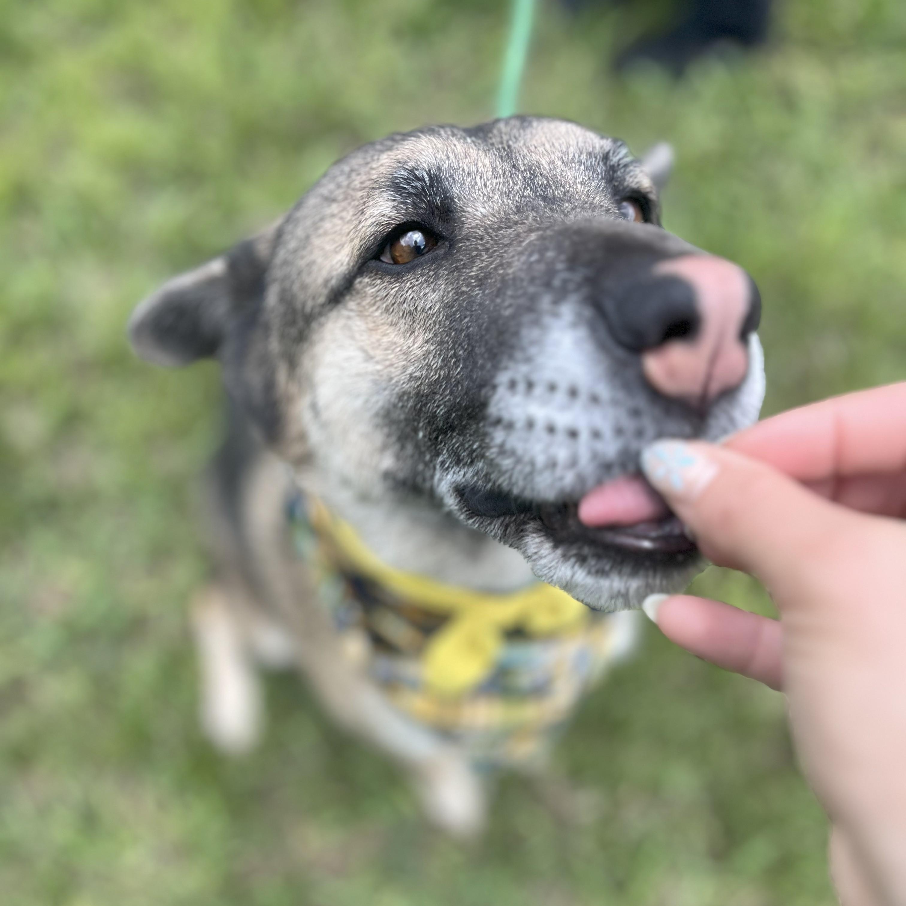 Nissan — thumbnail 6