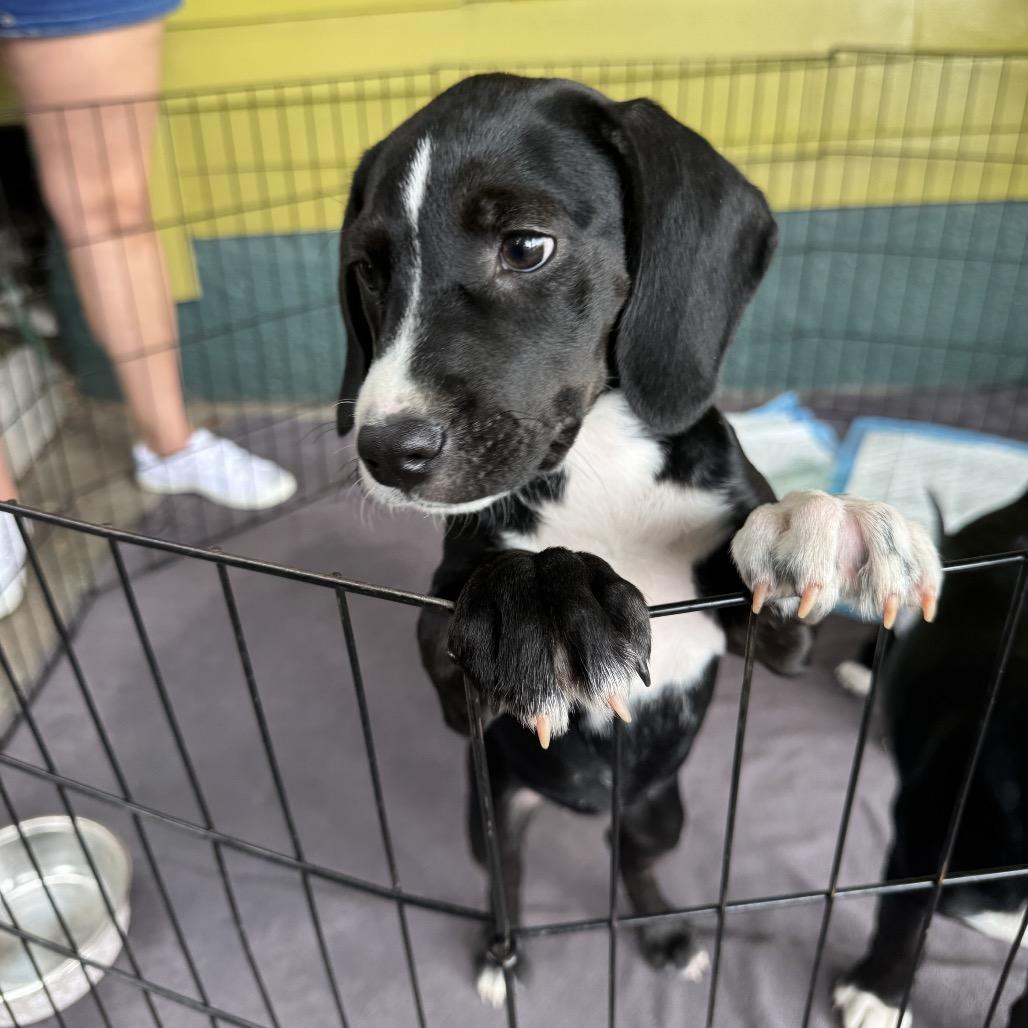 Paula — thumbnail 2