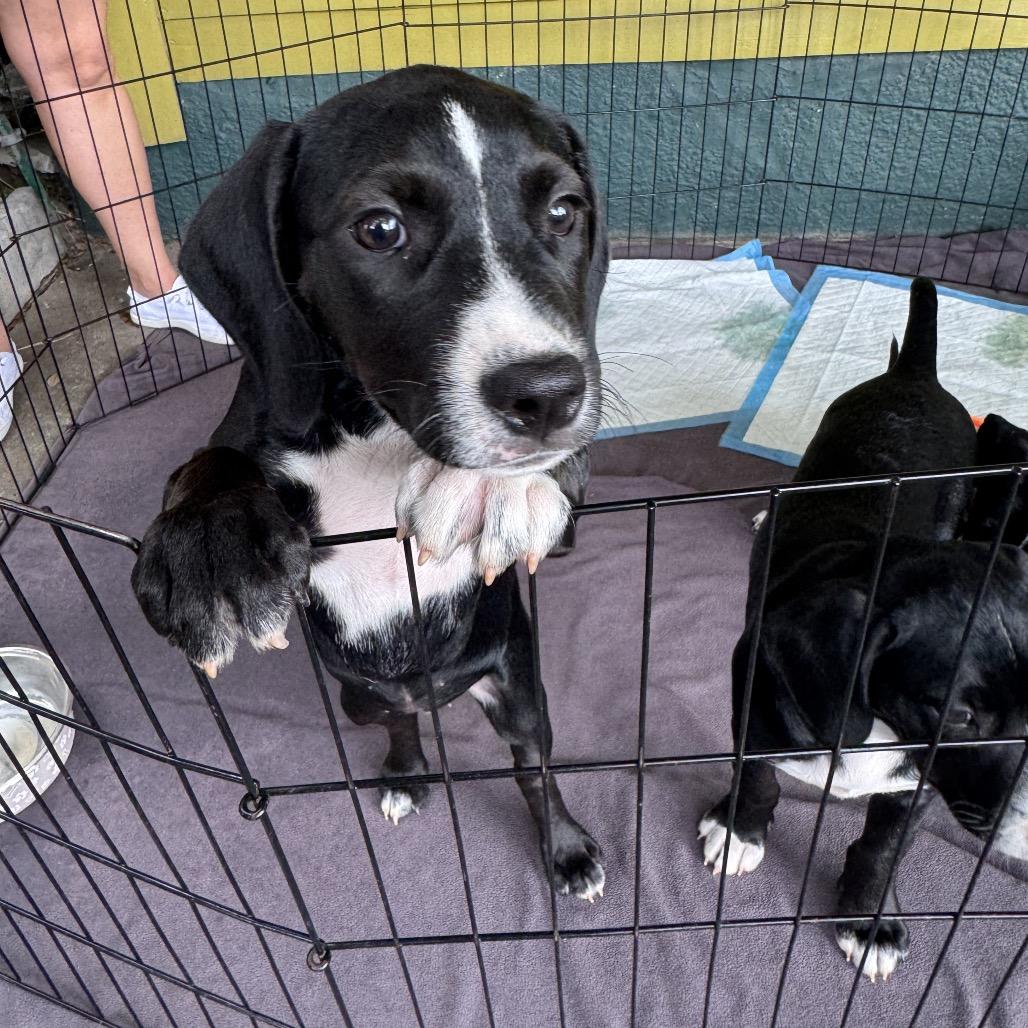 Paula — thumbnail 4