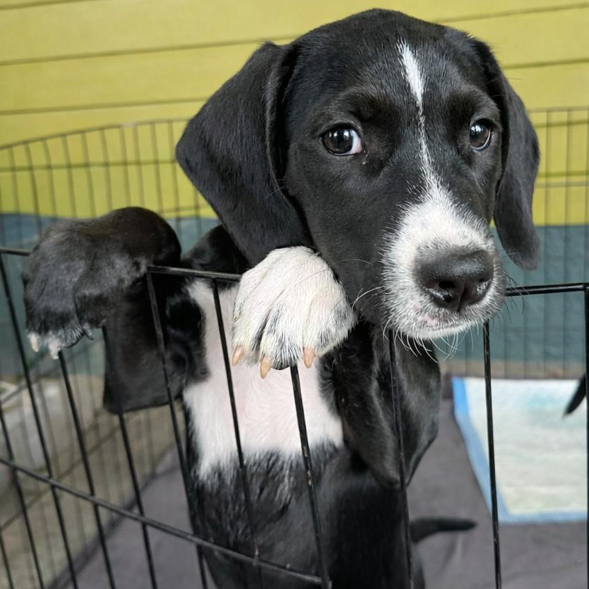 Paula — thumbnail 5