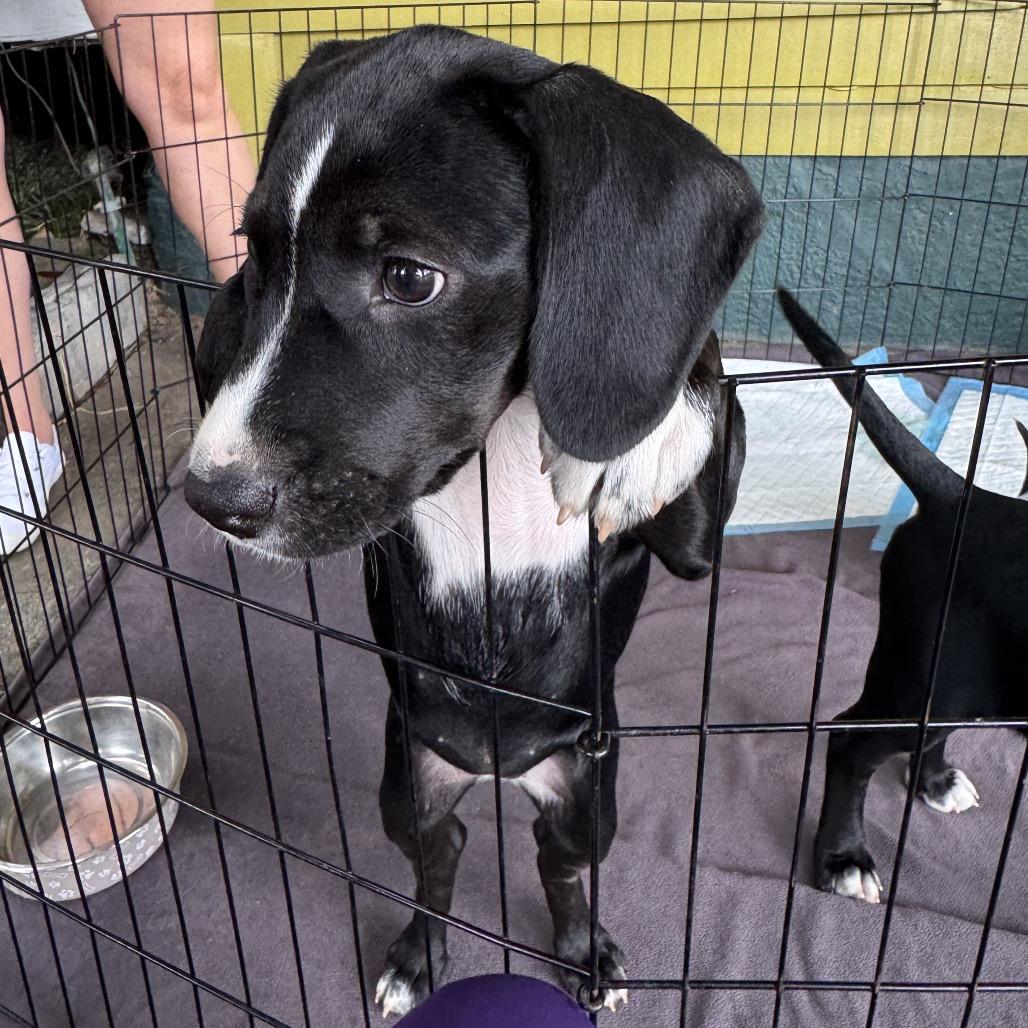 Paula — thumbnail 6