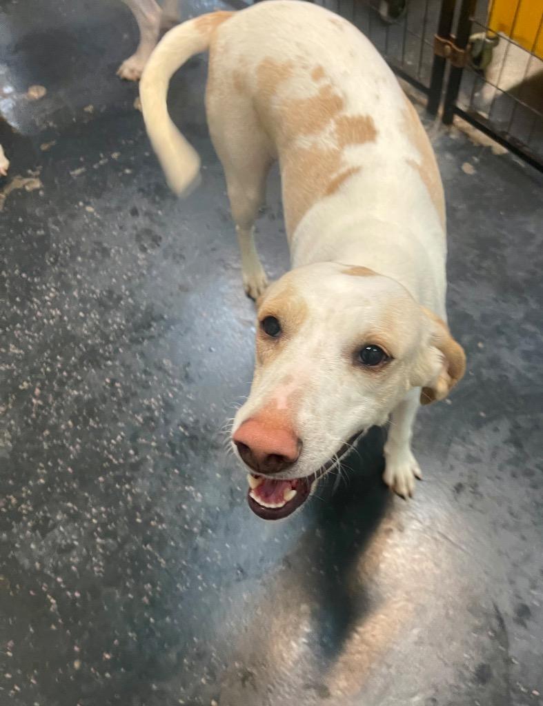 Fern — thumbnail 2