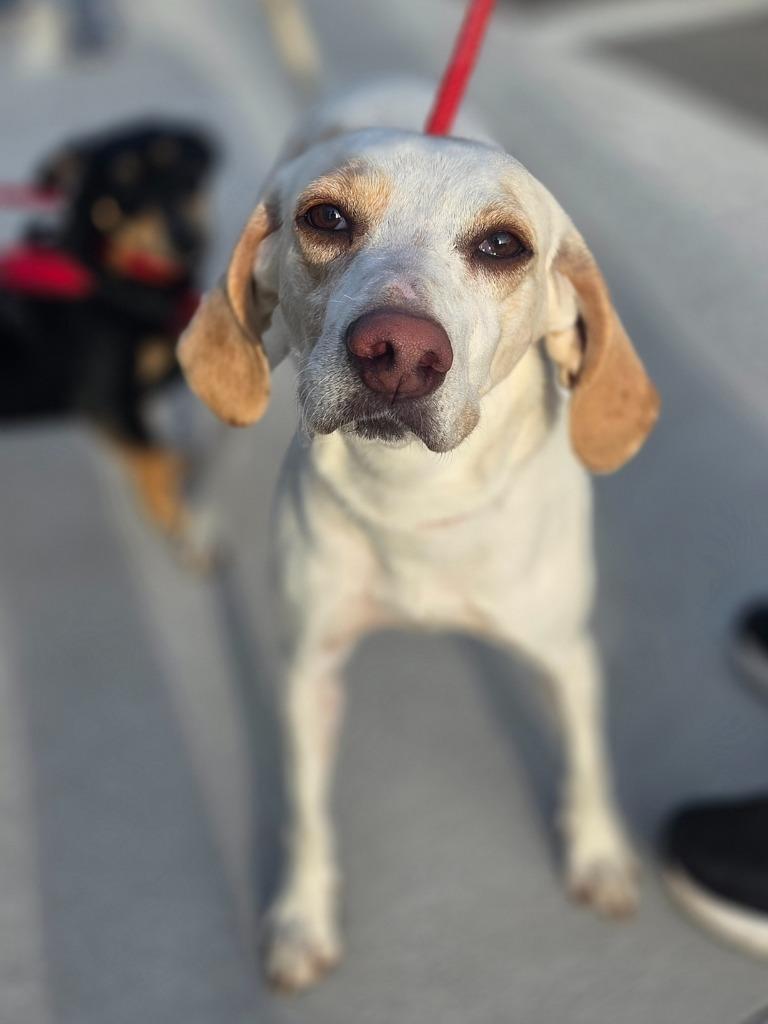 Fern — thumbnail 3