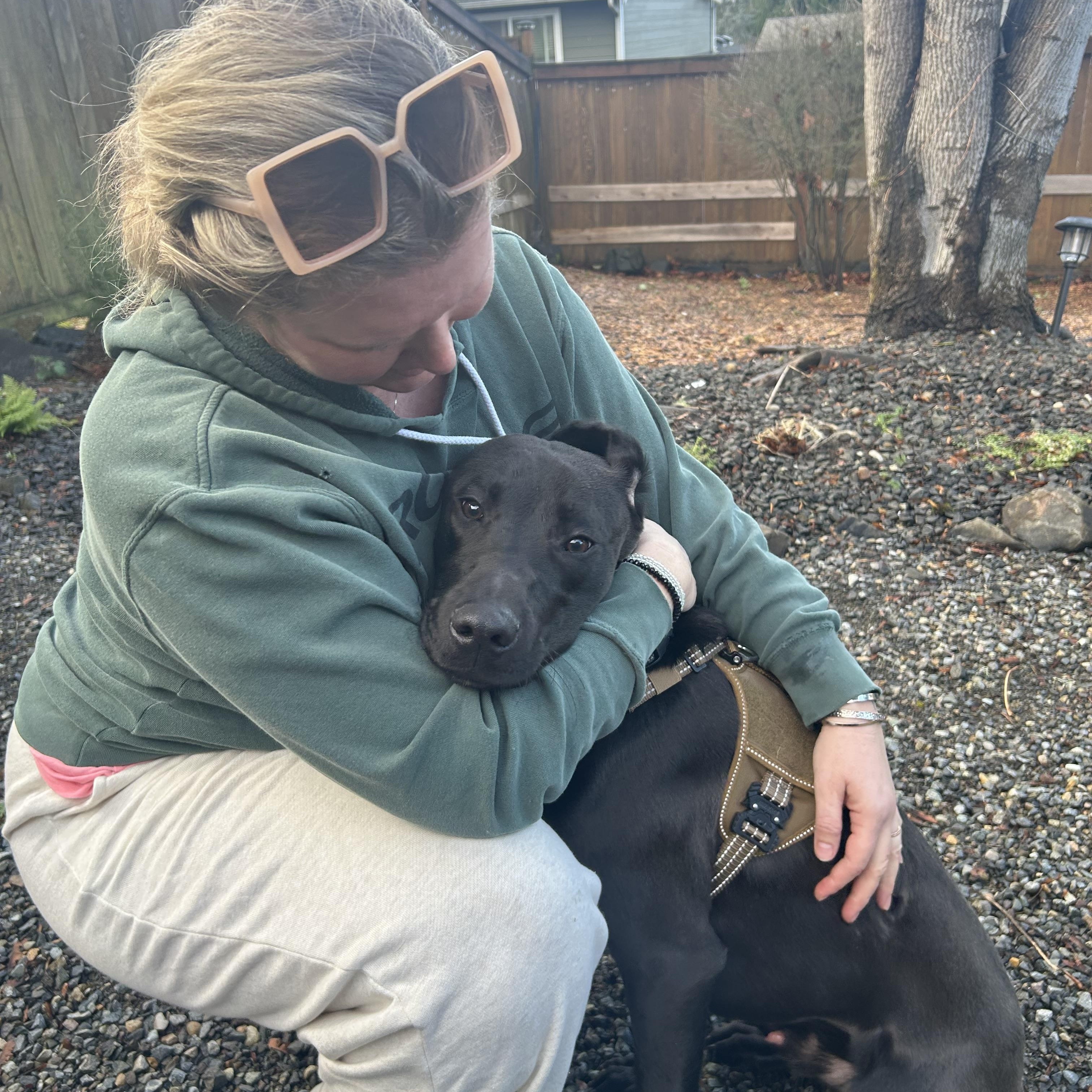 Buddy, a Adoptable mixed breed in Auburn, WA image 3/6