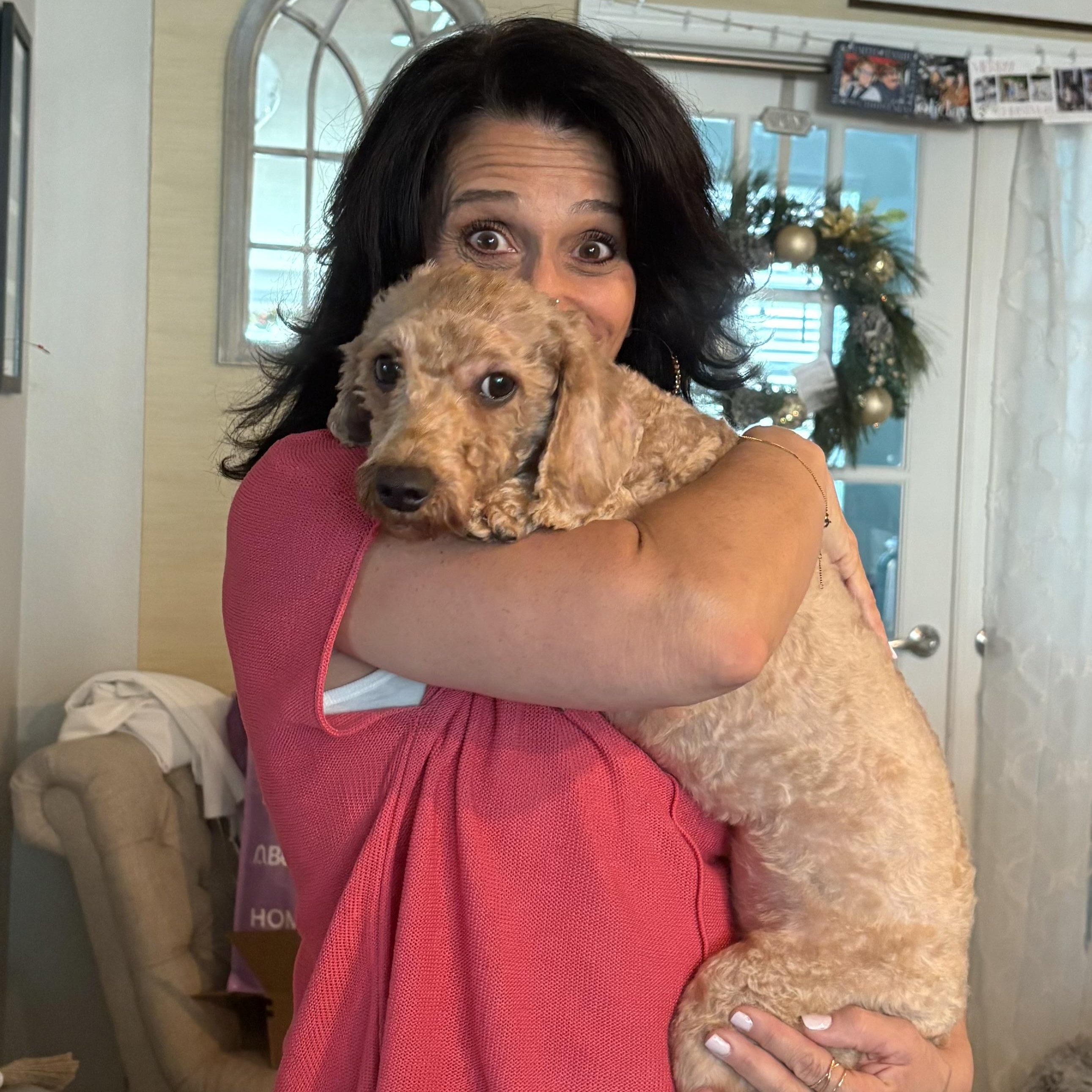 Enlarge Apricot, a ADOPTABLE mixed breed in Bradenton, FL image 4/5