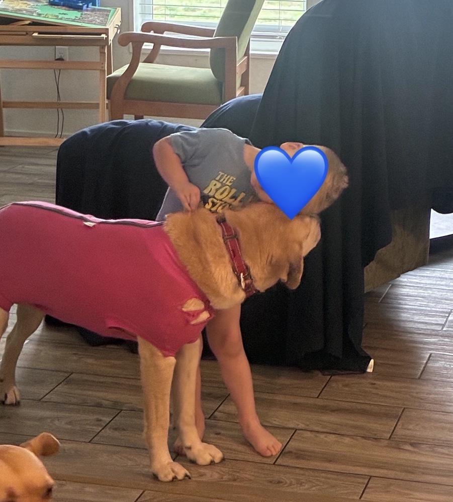 Enlarge Cattone / Mama Juniper, a Adoptable mixed breed in Broomfield, CO image 6/6