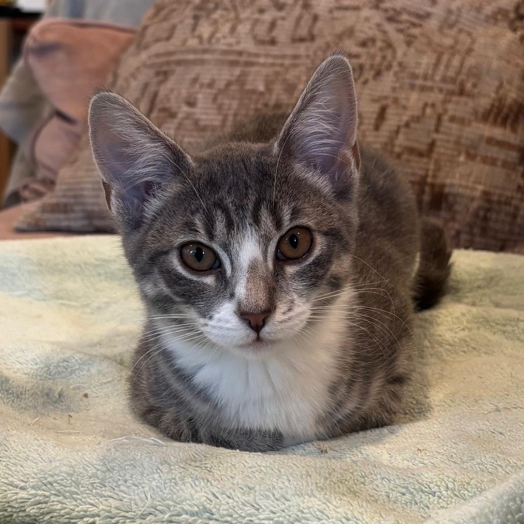 Samba — thumbnail 3