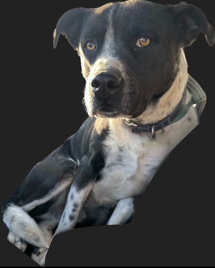 Elijah