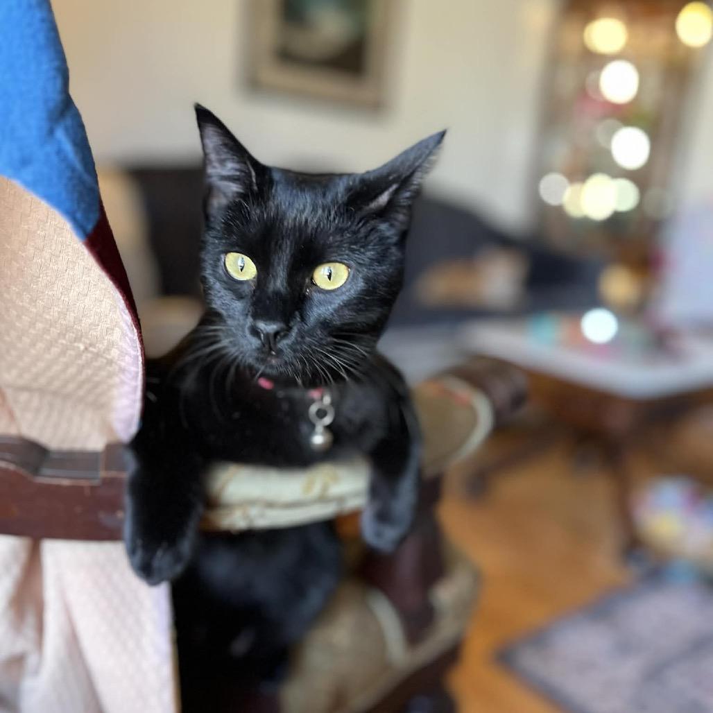 Lilith — thumbnail 2