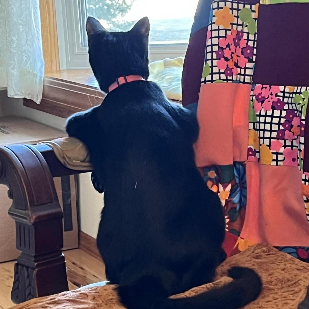 Lilith — thumbnail 3