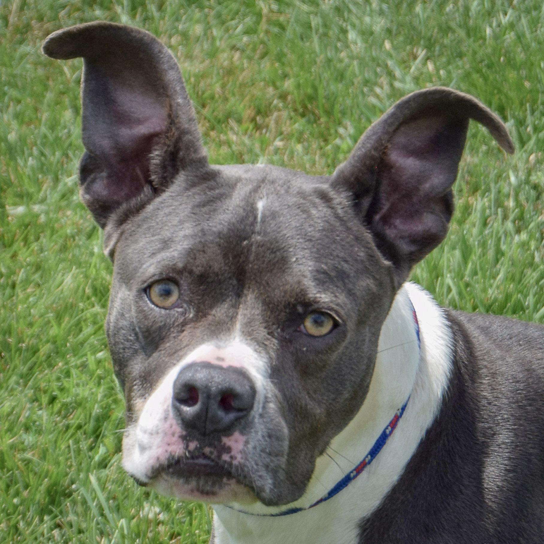 Miss Wiggles, Young Female unknown