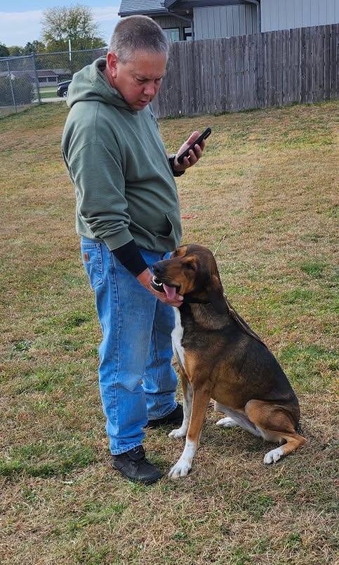 Enlarge Ginger, a Adoptable mixed breed in Belvidere, IL image 3/4