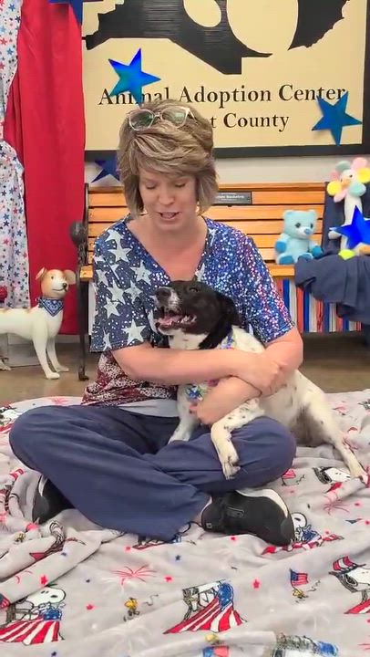Enlarge Dutchess, a ADOPTABLE mixed breed in Woolwich, ME video 3/5