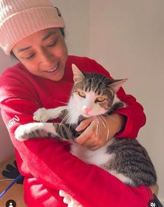 Enlarge Marshall, a Adoptable mixed breed in San Francisco, CA image 2/6