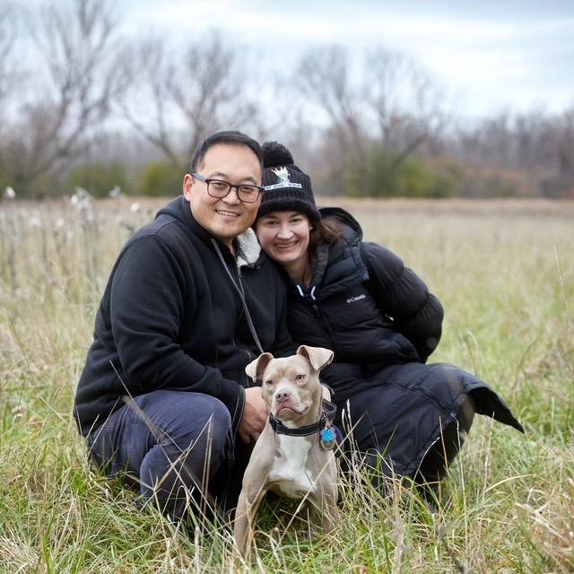 Enlarge Maddie, a Adoptable mixed breed in Chicago, IL image 4/6