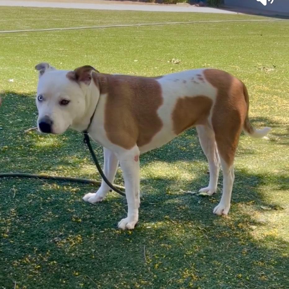 Luna-Really Wants To Connect With Someone