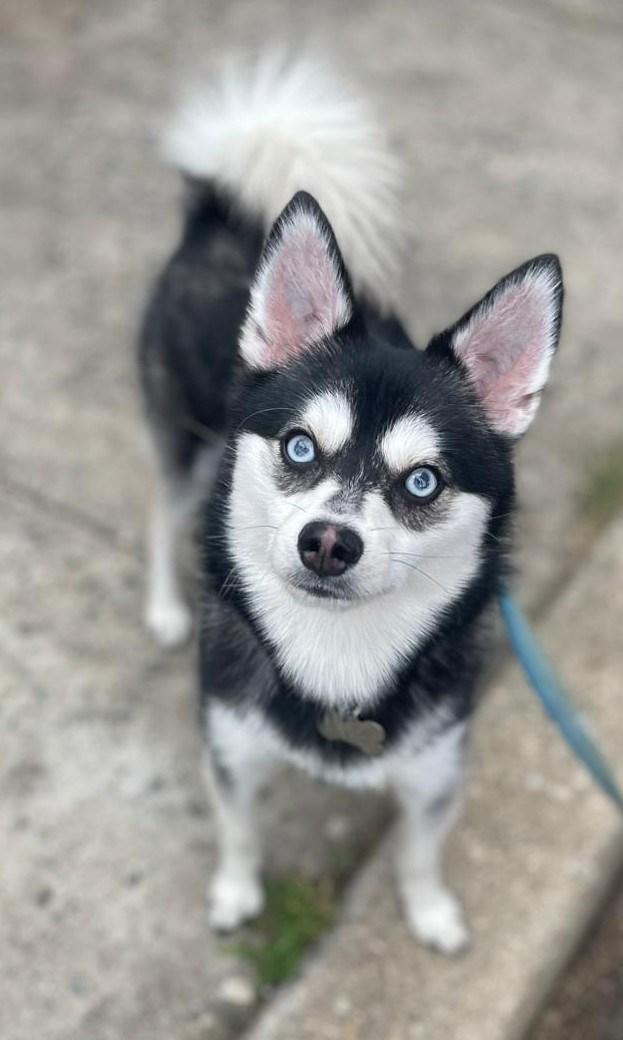 Jace