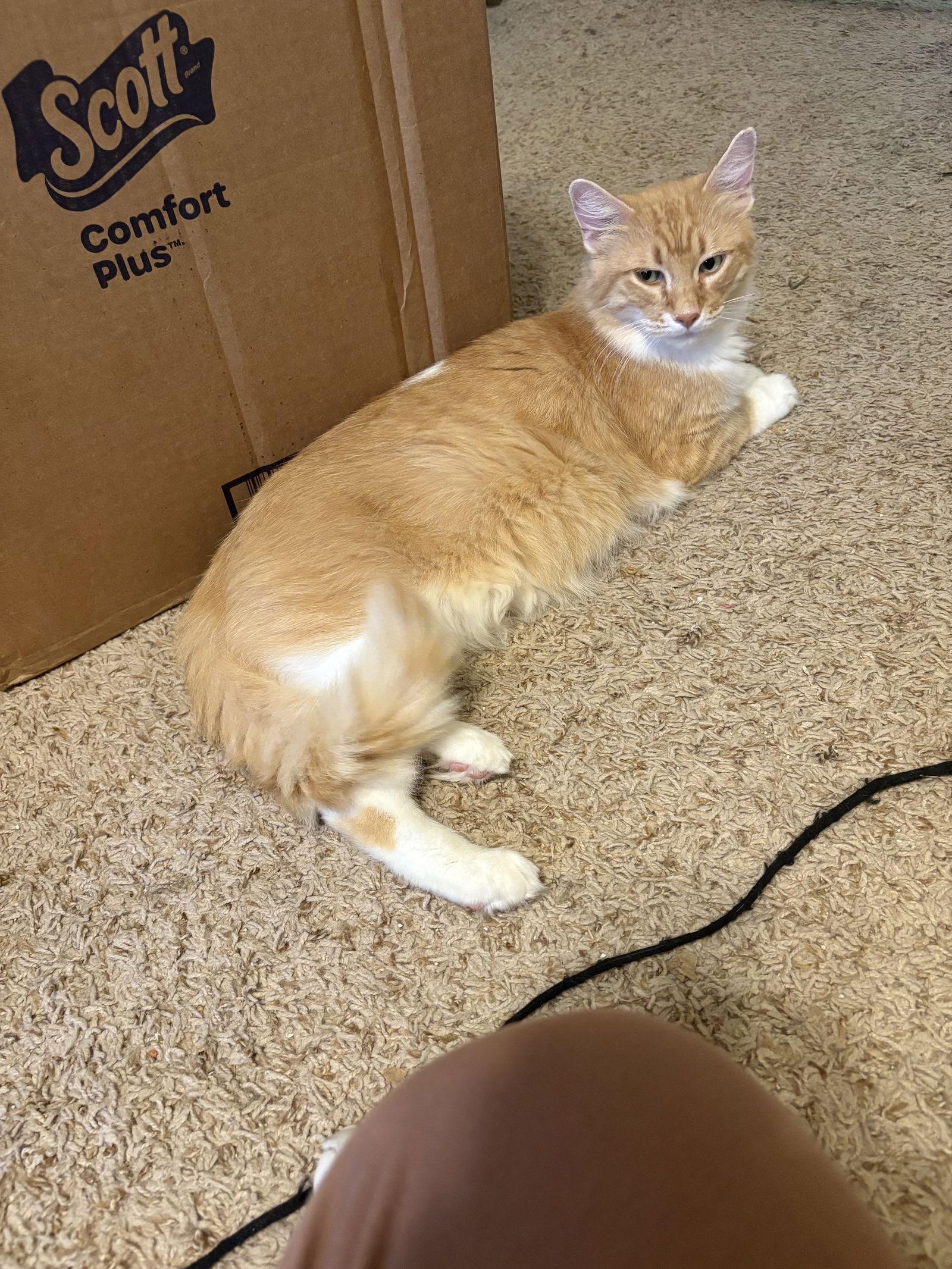 Montgomery thumbnail 3