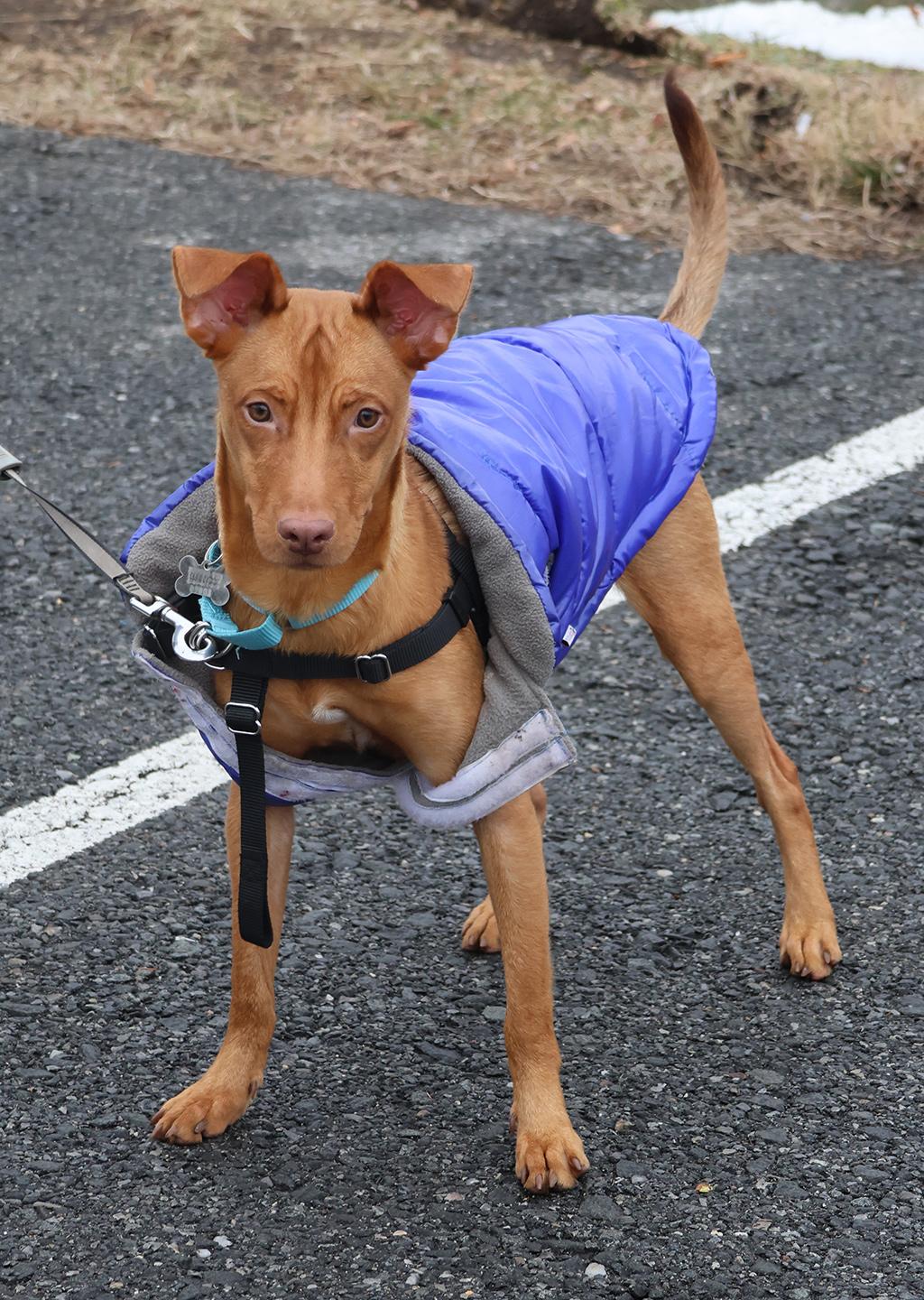 Osvaldito thumbnail 2