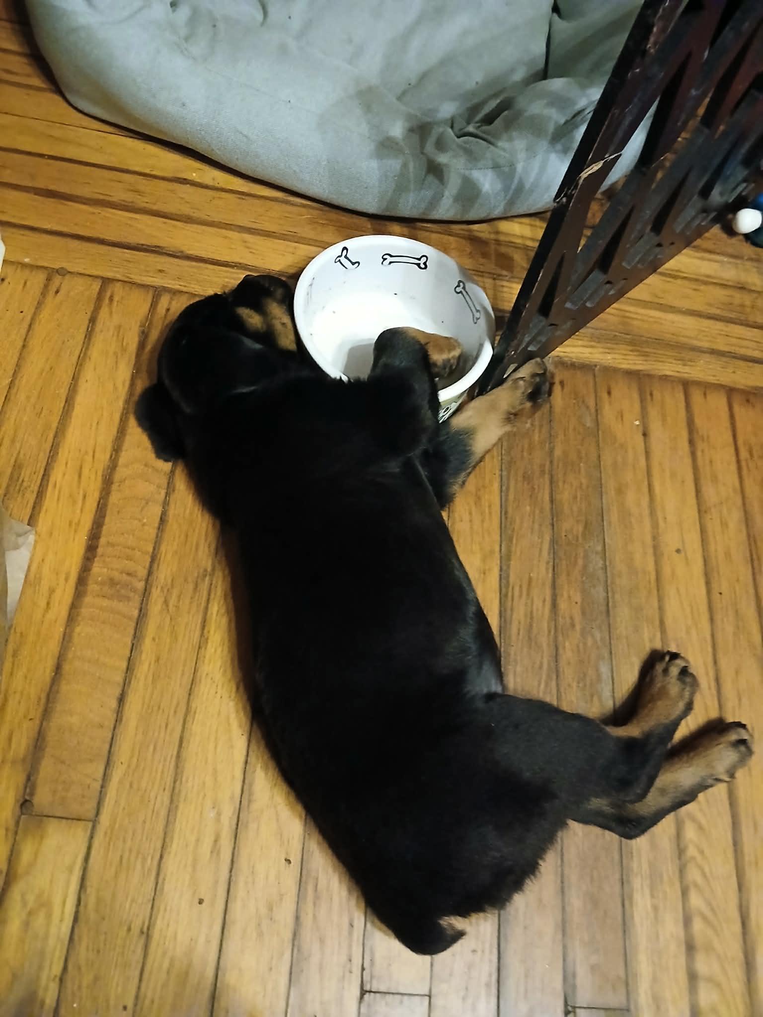 Stevie  Special Needs thumbnail 5