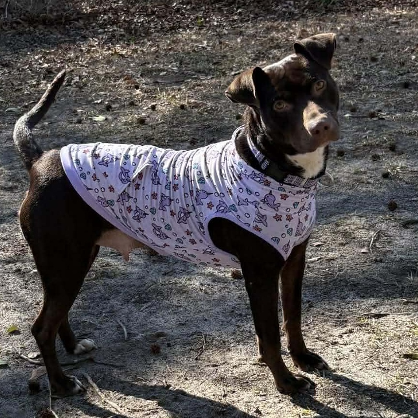 Brandy — thumbnail 3