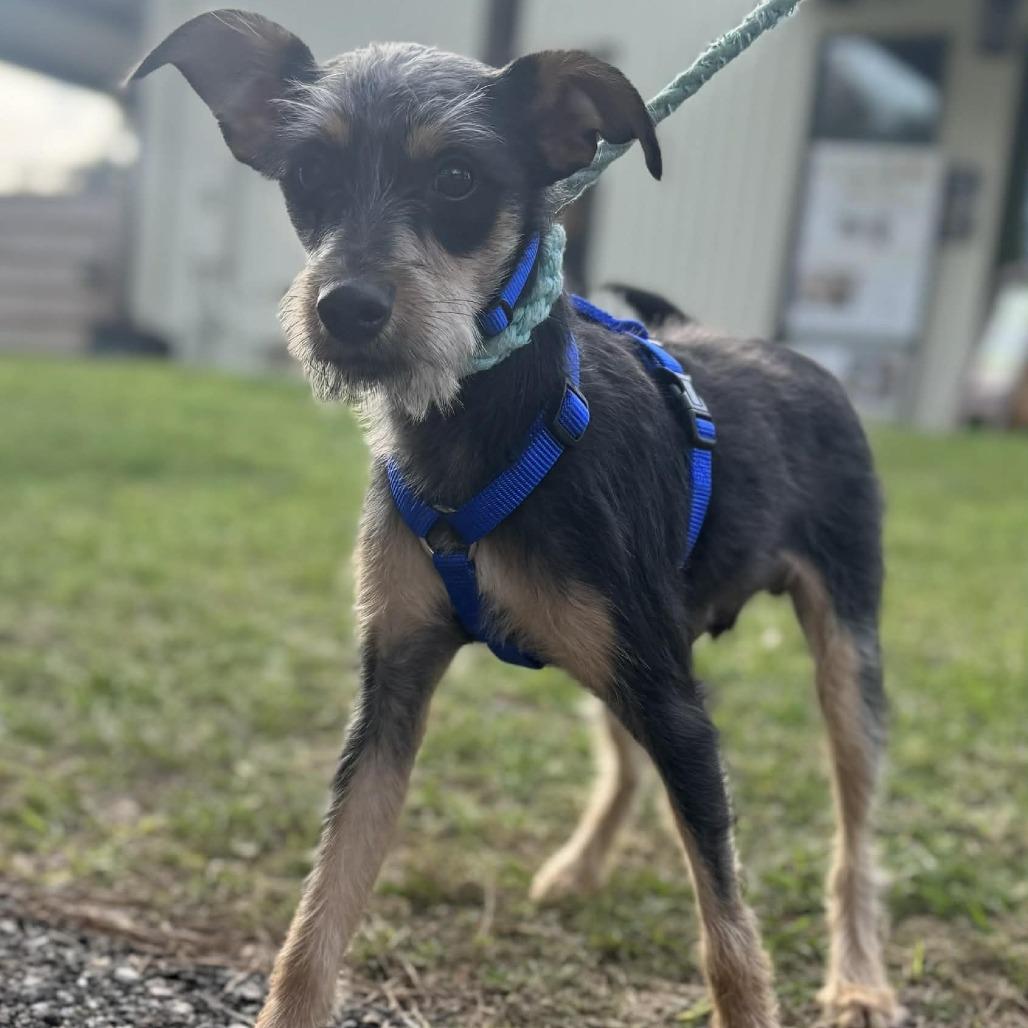 Jules Darwin — thumbnail 6