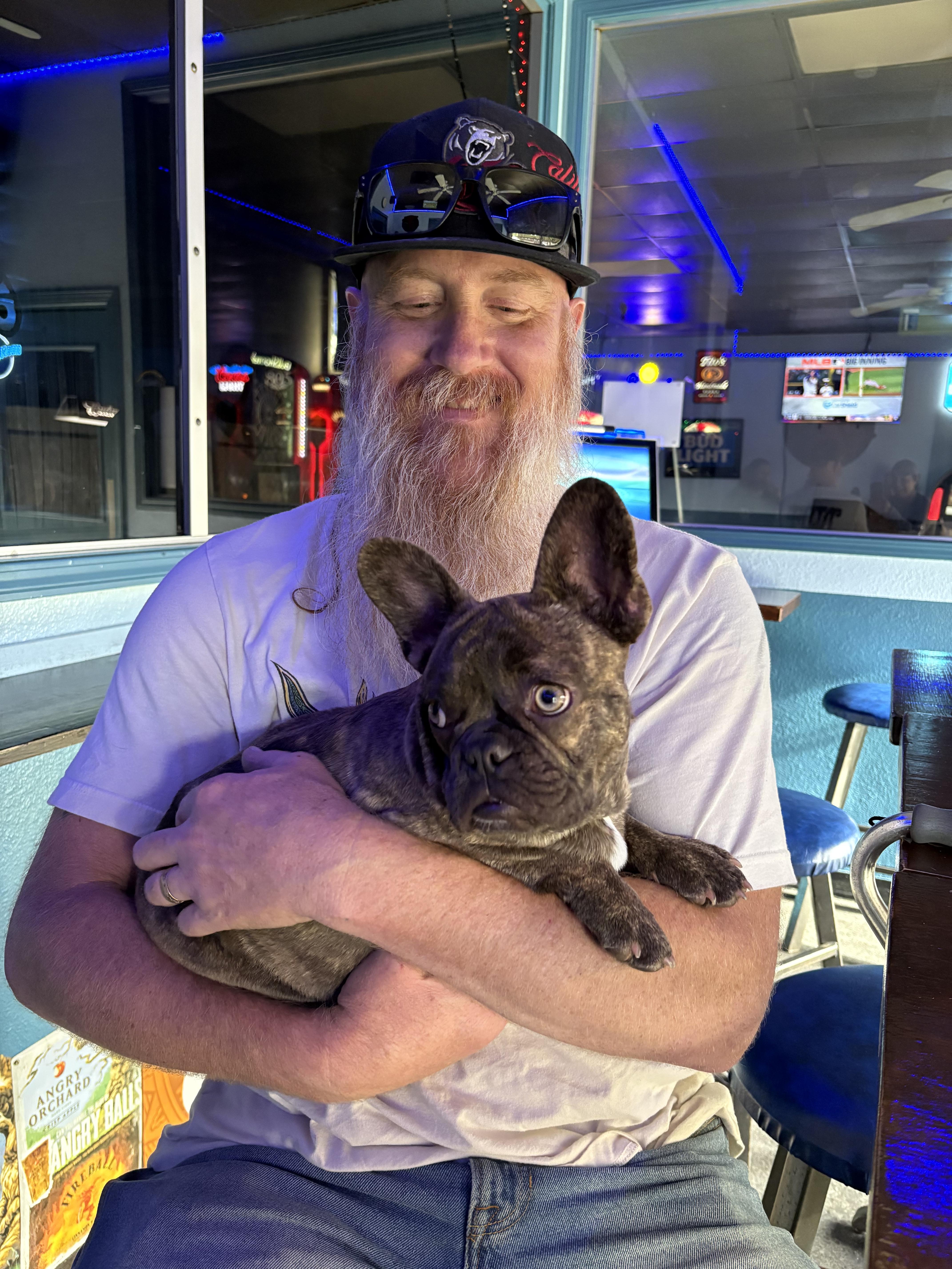 Enlarge Larry , a ADOPTABLE French Bulldog in Oakland, CA image 3/4