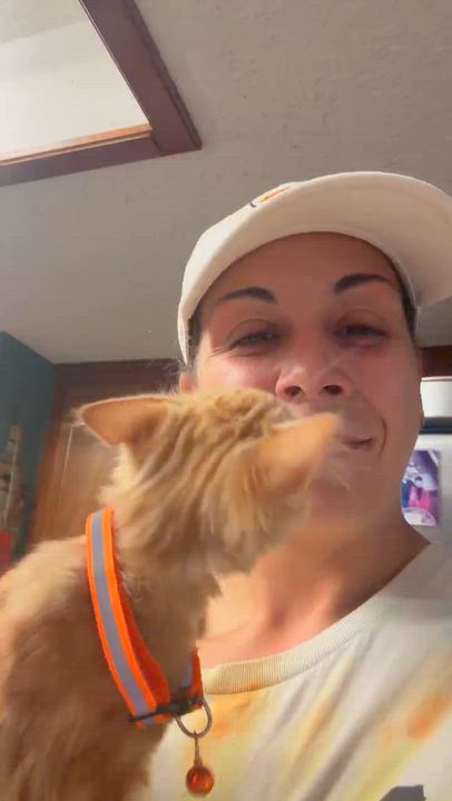 Enlarge Pricilla Ann, a Adopted mixed breed in Oklahoma City, OK video 4/4