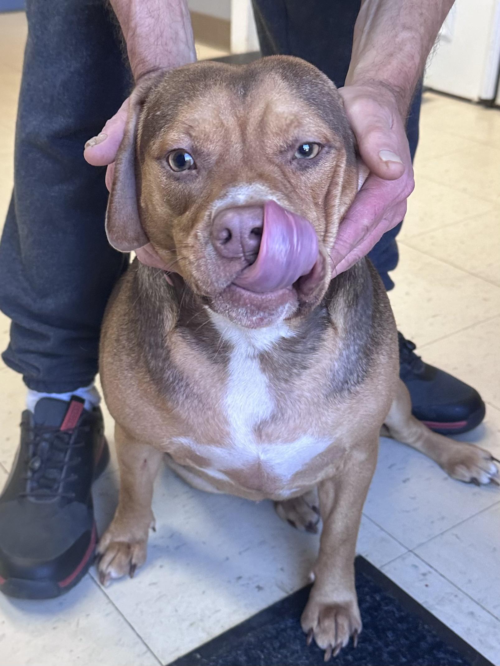 Ember Jordan thumbnail 3