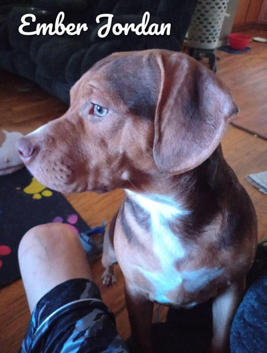 Ember Jordan thumbnail 2