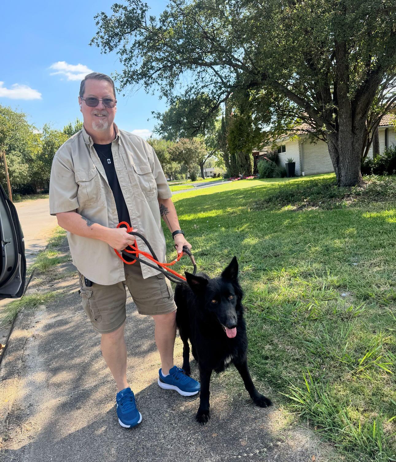 Nikola, a Adoptable German Shepherd Dog in Brookfield, CT image 6/6