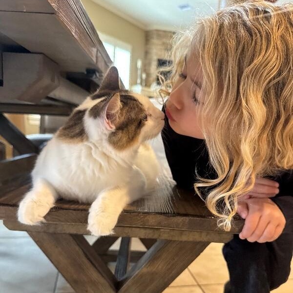 Merida Mex — thumbnail 3