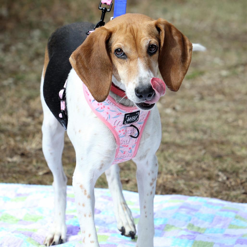 Lilly Lou — thumbnail 5