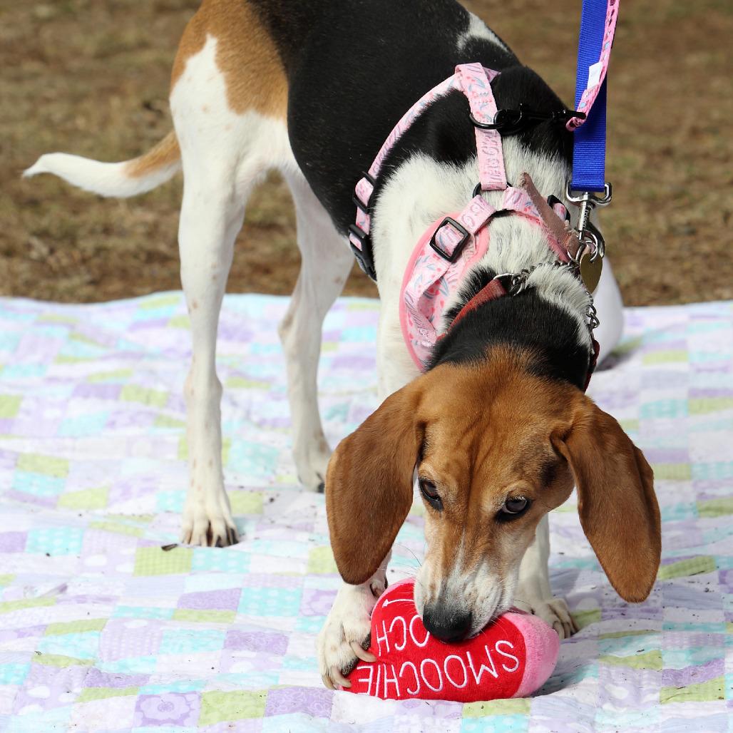 Lilly Lou — thumbnail 6