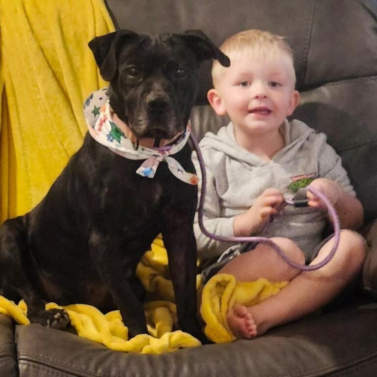 Blanche Nap Enthusiast — thumbnail 4