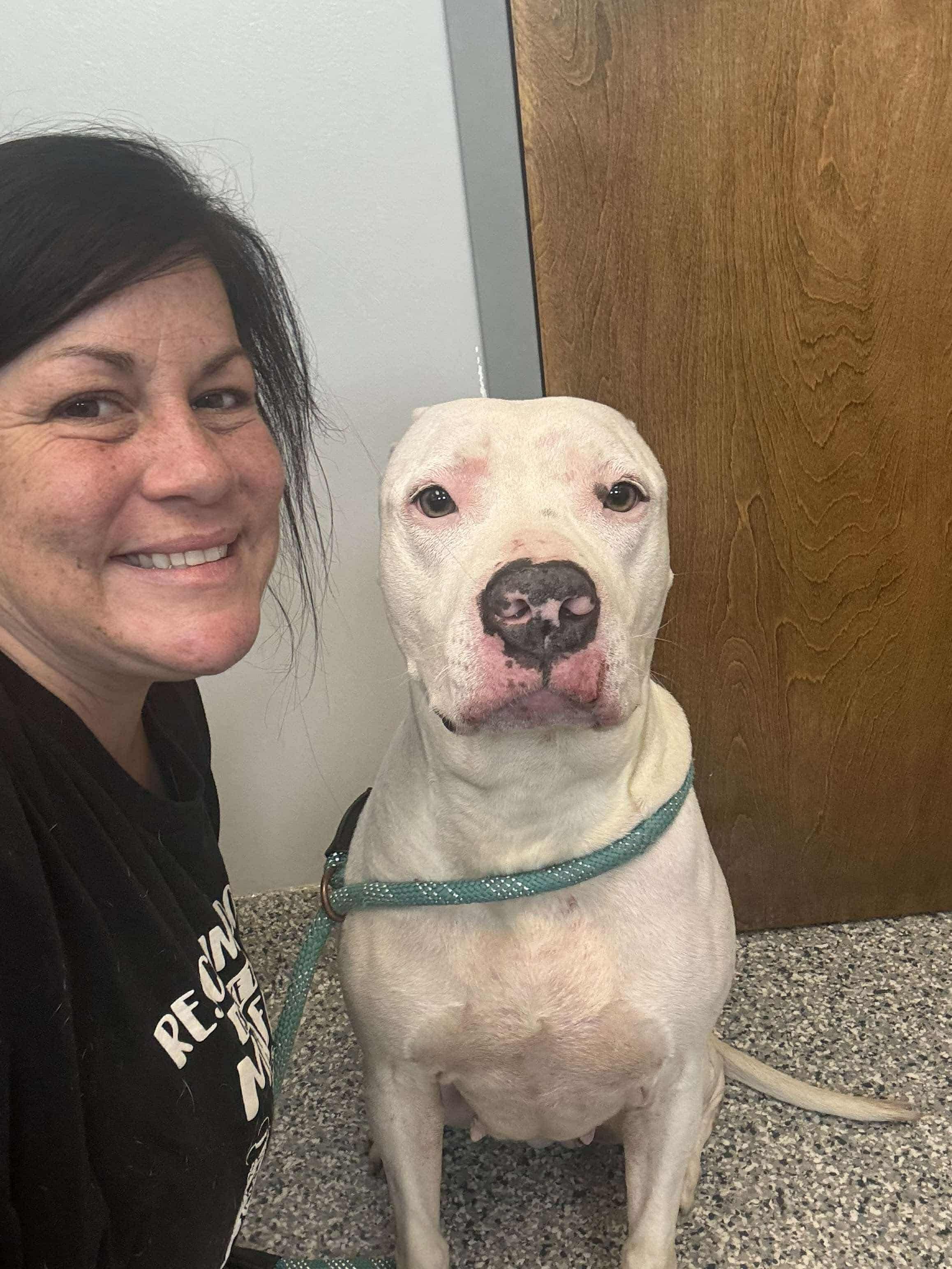 Mazi, Adoptable, Adult Female Mixed Breed.