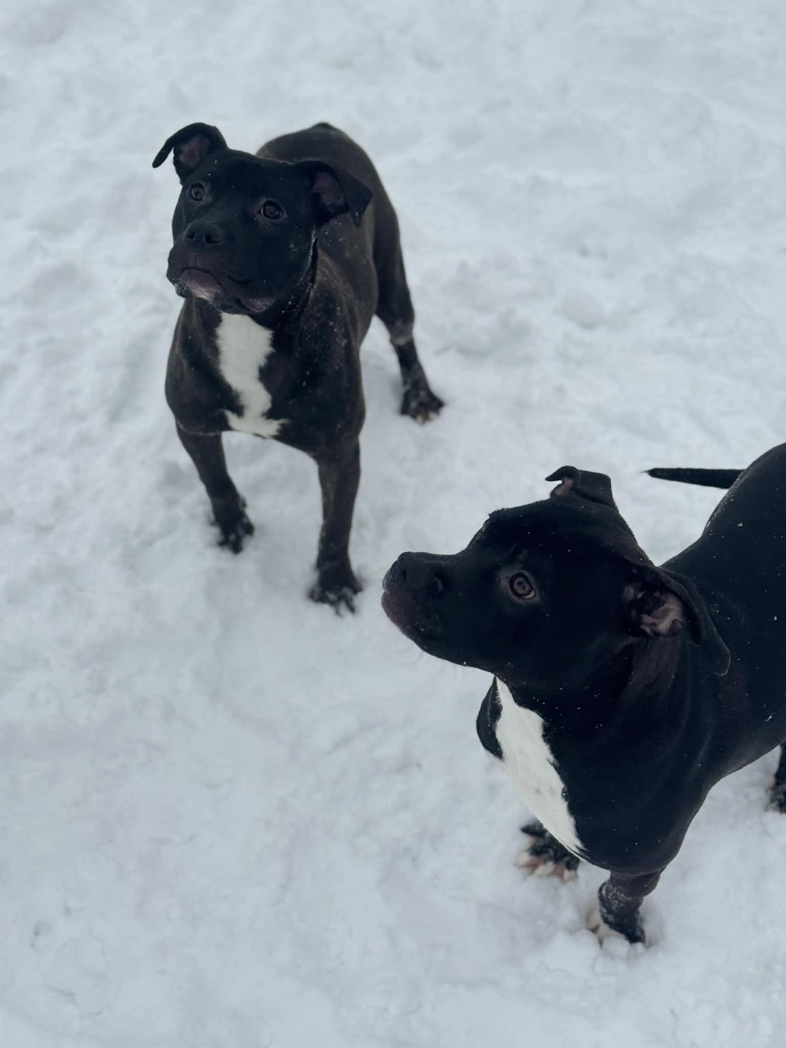 Brazil — thumbnail 3