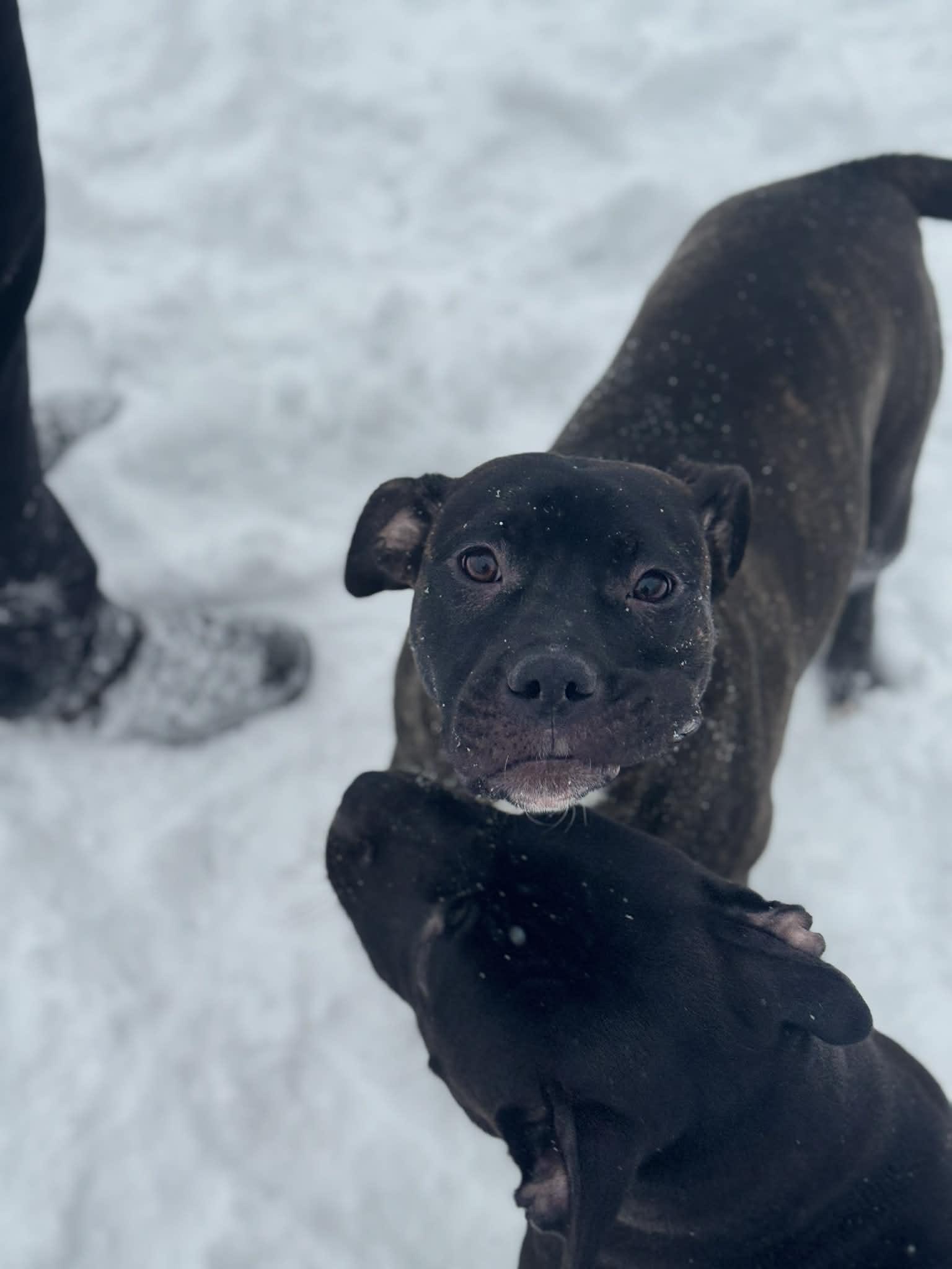 Brazil — thumbnail 4