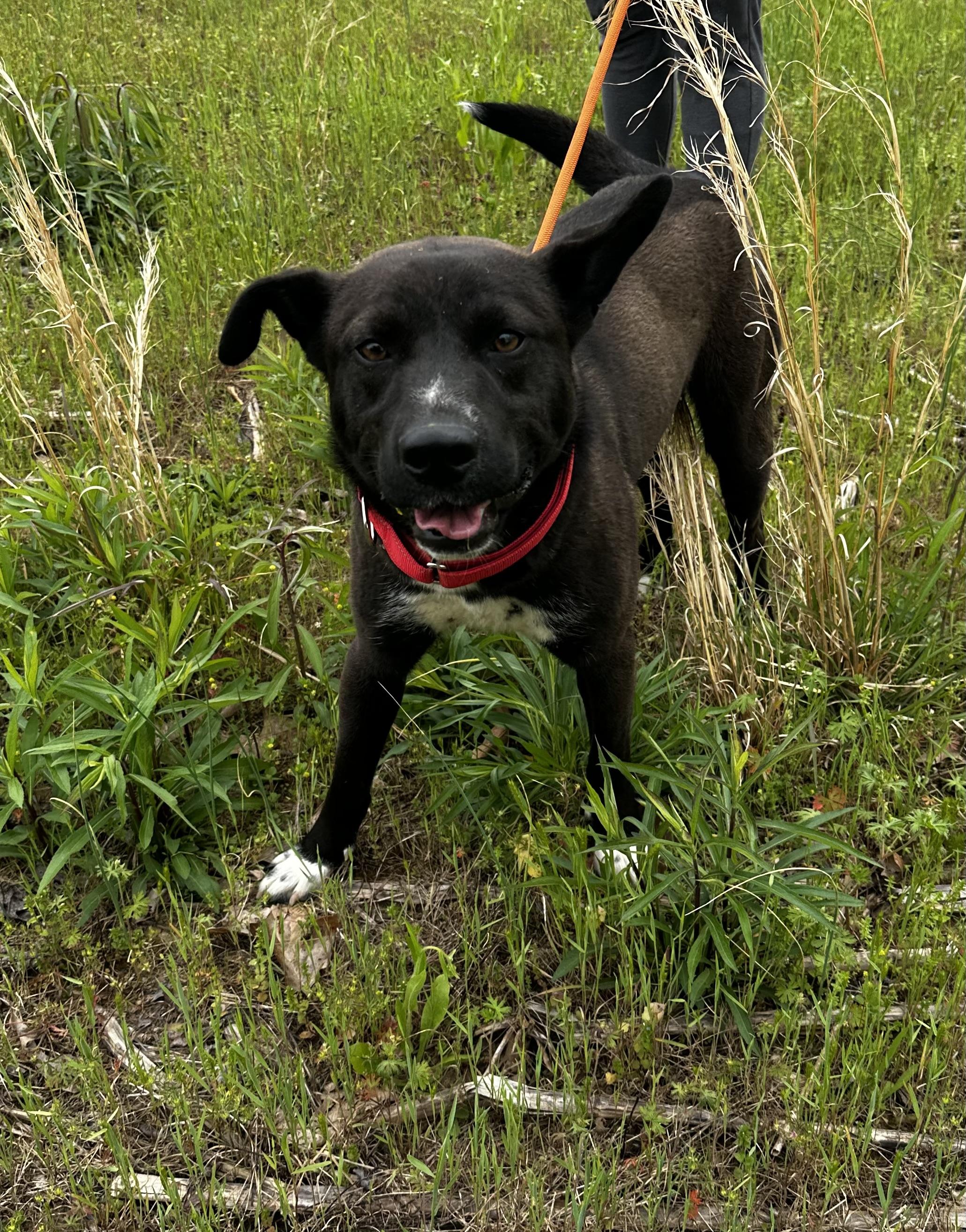 Bucky photo 1
