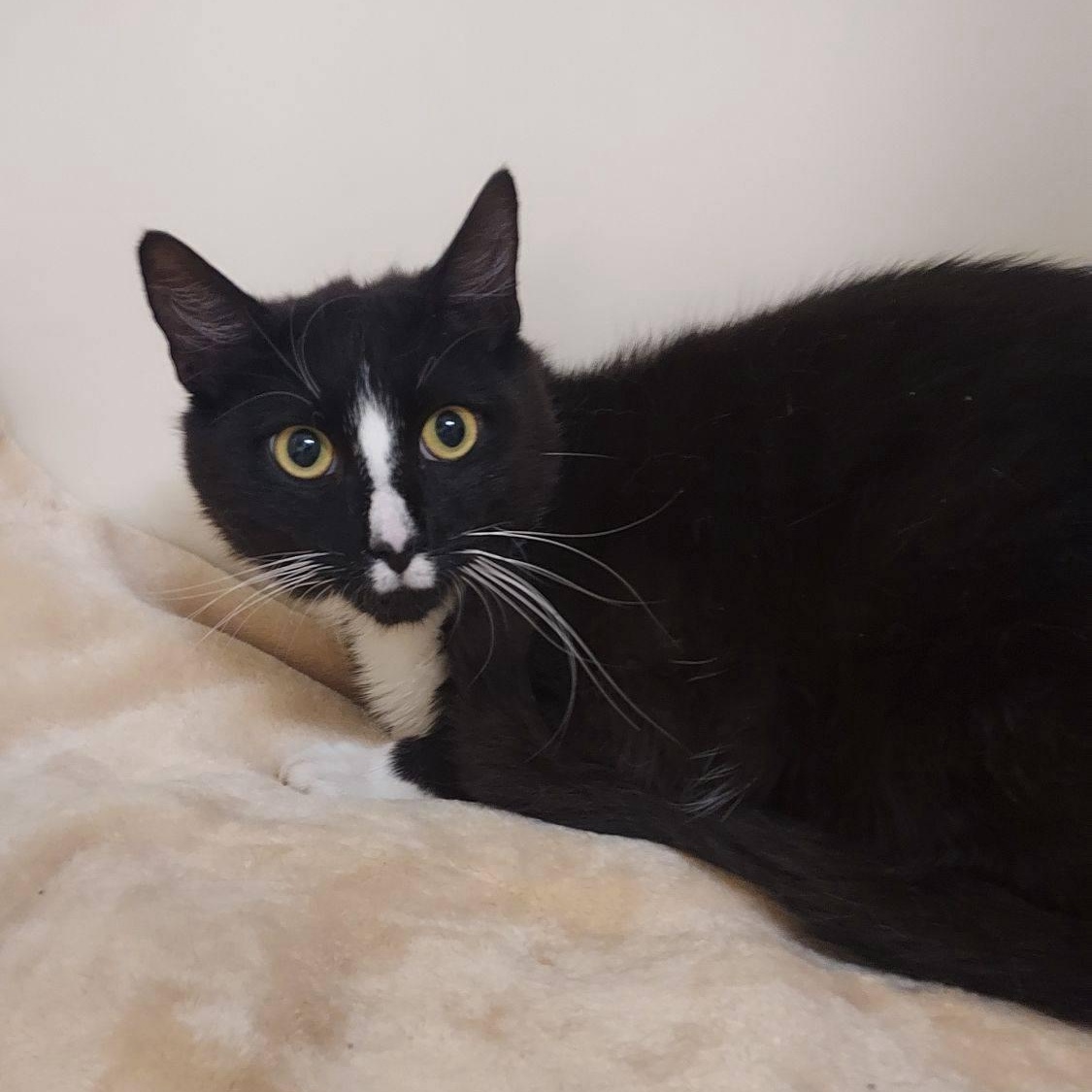 Salem