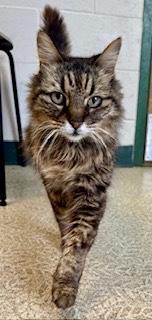 Sofia — thumbnail 3