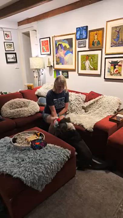 Enlarge Pepper, a ADOPTABLE mixed breed in New York, NY video 2/4