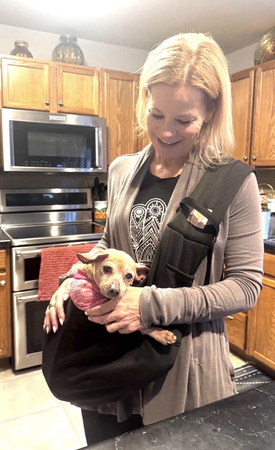 Enlarge Luna, a ADOPTABLE mixed breed in Whitewater, WI image 4/6